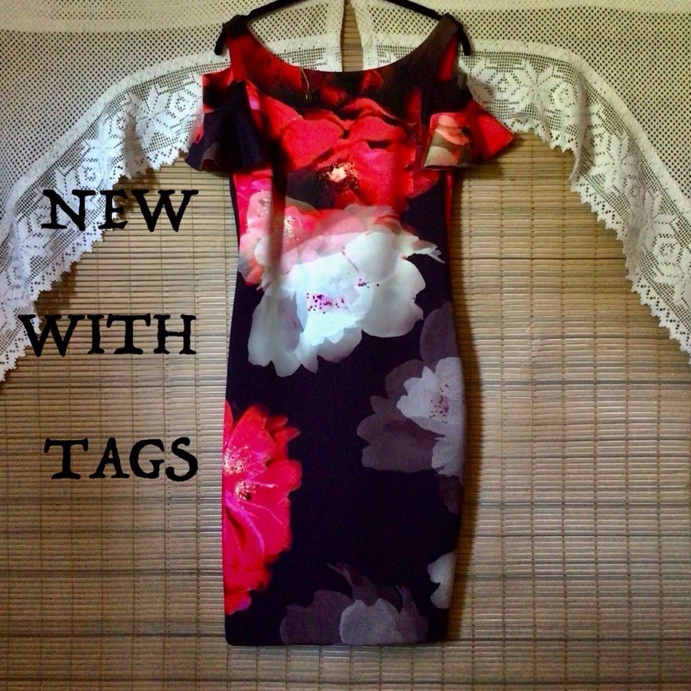 Frank Lyman NWT water color floral print, lovely dress - Picture 6 of 16